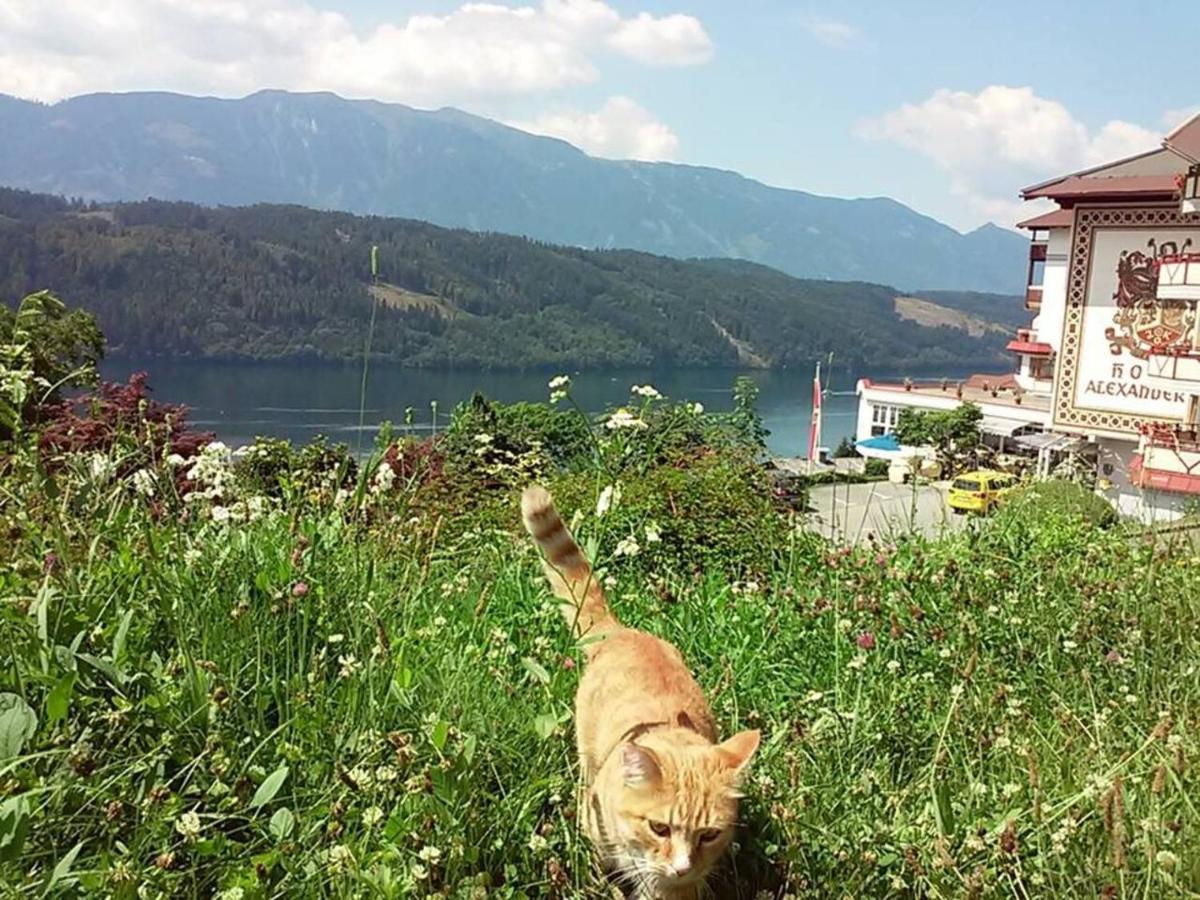 Haus Kraller-Urlaub Mit Seeblick Leilighet Millstatt Eksteriør bilde