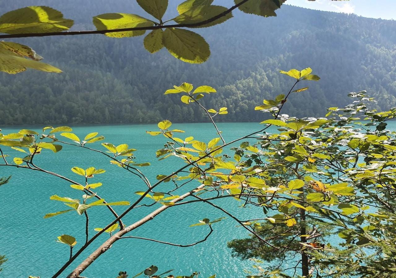 Haus Kraller-Urlaub Mit Seeblick Millstatt Eksteriør bilde