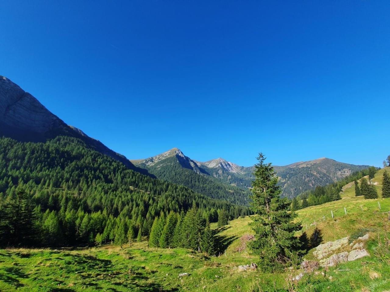 Haus Kraller-Urlaub Mit Seeblick Millstatt Eksteriør bilde